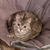 Telegram profile photo for ох уж этот Mr. Федор...