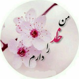 Telegram profile photo for نوای DEL دل💖🌹