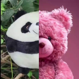 Telegram profile photo for Машулик & Сашулик
