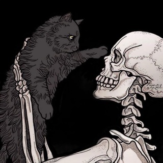 Telegram profile photo for BH