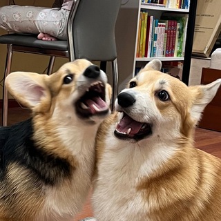 Telegram profile photo for Северус и Уран