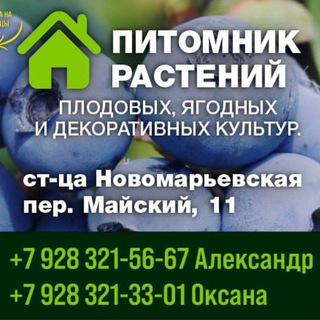 Telegram profile photo for Саженцы Ставрополь