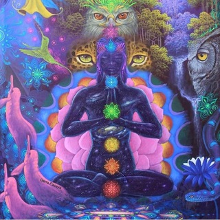 Telegram profile photo for Ayahuasca hack the matrix