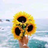 Telegram profile photo for 🌻عبق الياسمين 🌻