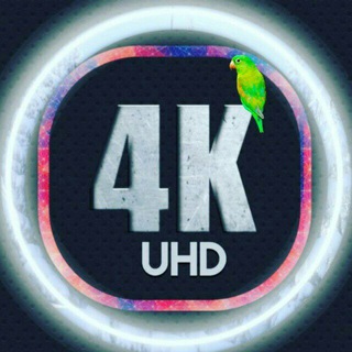 Telegram profile photo for 4K Photo 📷