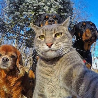 Telegram profile photo for Жизнь в одном кадре