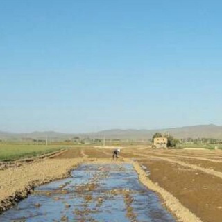 Telegram profile photo for کانال رسمی گاوباره