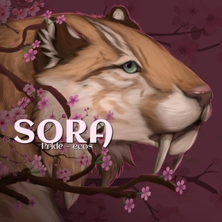 Telegram profile photo for 𝑆𝑜𝑟𝑎