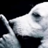 Telegram profile photo for эдик баранов