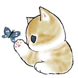 Telegram profile photo for lua info