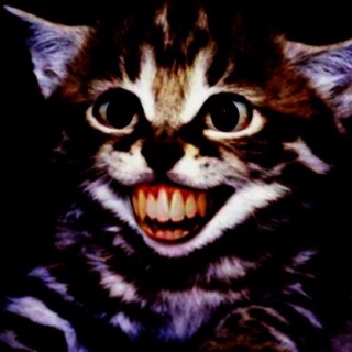 Telegram profile photo for собака светлана