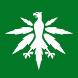 Telegram profile photo for DHV Karlsruhe - News