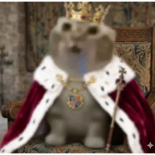 Telegram profile photo for квфл