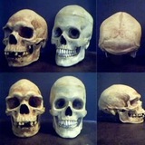 Telegram profile photo for Racial Science