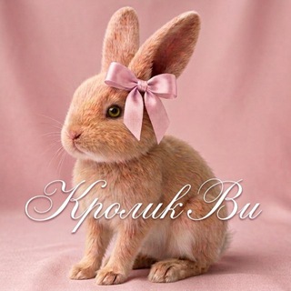 Telegram profile photo for наличие Ви🐰🎀
