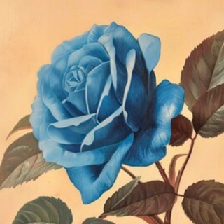 Telegram profile photo for 💕🌹Мы переехали.🤗🥰💕