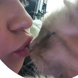 Telegram profile photo for Особливий