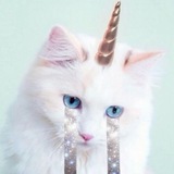 Telegram profile photo for Catalogue