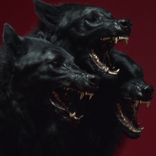 Telegram profile photo for Підземелля Цербера 🔞