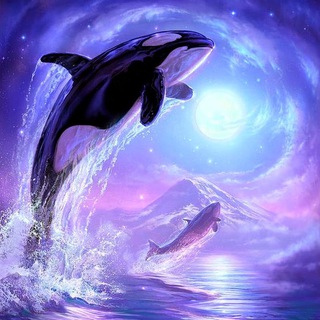 Telegram group profile photo for Orcinus Official (ORCAS)