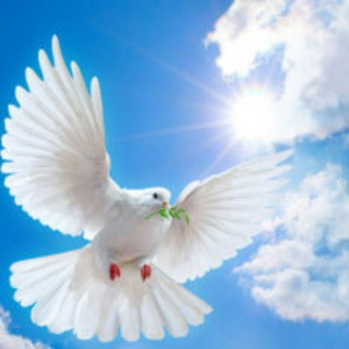 Telegram profile photo for Список эвакуированных