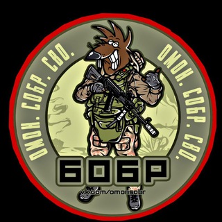 Telegram profile photo for ОМОН.СОБР.СВО.
