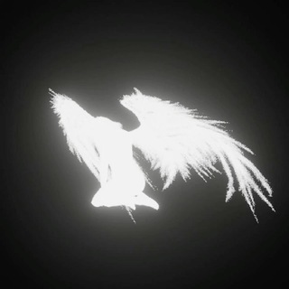 Telegram profile photo for روزمره عمو تیمرآد