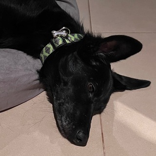 Telegram profile photo for Бла бла Бу