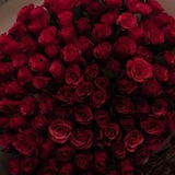 Telegram profile photo for отзывы сашасашенька💋