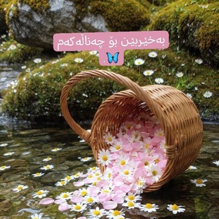 Telegram profile photo for вαувυиι нιωαкαи🩷🌼;