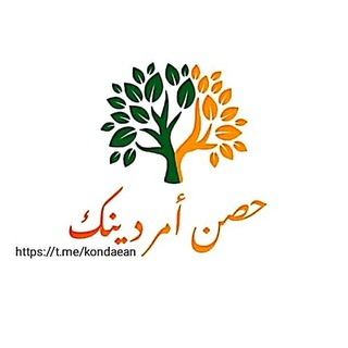 Telegram profile photo for 📖 حَصّن أَمرَ دِينِك✍