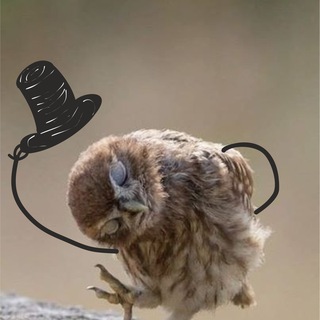 Telegram profile photo for Снимаю шляпу!