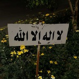 Telegram profile photo for القرآن الكريم، اذكار ،آيات قرآنية🌿