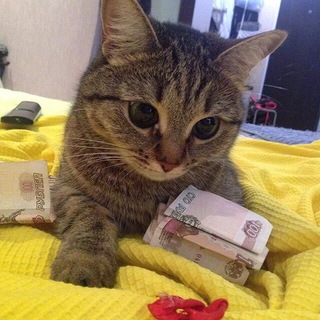 Telegram profile photo for AbajePlay