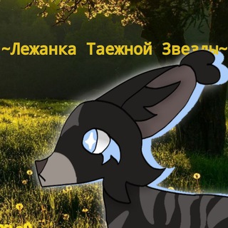 Telegram profile photo for ~𐌡ᥱжᥲнκᥲ Тᥲᥱжн᧐ᥔ Зʙᥱᤋды~