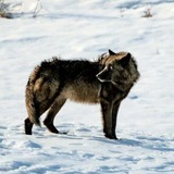 Telegram profile photo for πΉππΎ πΉπΈπ» ππππ½