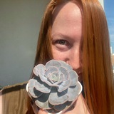 Telegram profile photo for Лена и ее цветочки 🤗