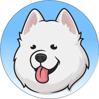 Telegram profile photo for Samoyed
