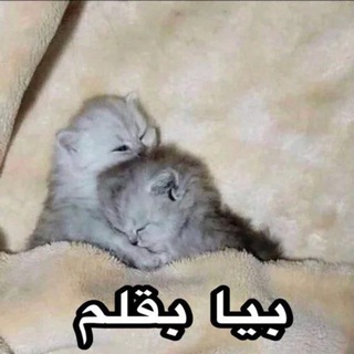 Telegram profile photo for تبلیغات میمک