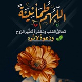 Telegram profile photo for هدوء 🤍