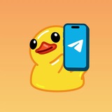Telegram profile photo for Design Competition