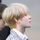 Telegram profile photo for picwoo is typing. . .