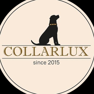 Telegram profile photo for Collarlux