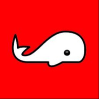 Telegram profile photo for نهنگ قرمز - سیگنال رایگان💰