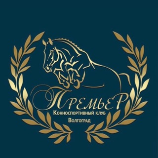 Telegram profile photo for KSK_Premier