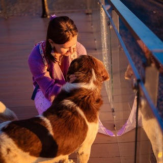 Telegram profile photo for Хвосты вверх!🐾🐶 Кобулети