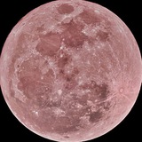Telegram profile photo for ʝกϝ٥ ɕℏ𐌳ɳꤕℓℓ