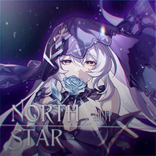 Telegram profile photo for North Star ›› VP/AD