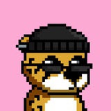 Telegram profile photo for Umbrella Crypto