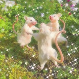 Telegram profile photo for MUBEAT. Квизы